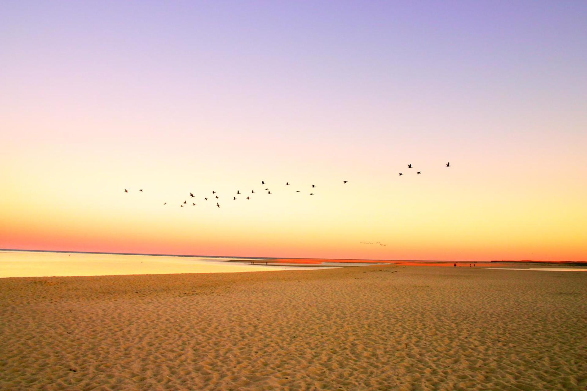 Oyster Beach Bungalow
