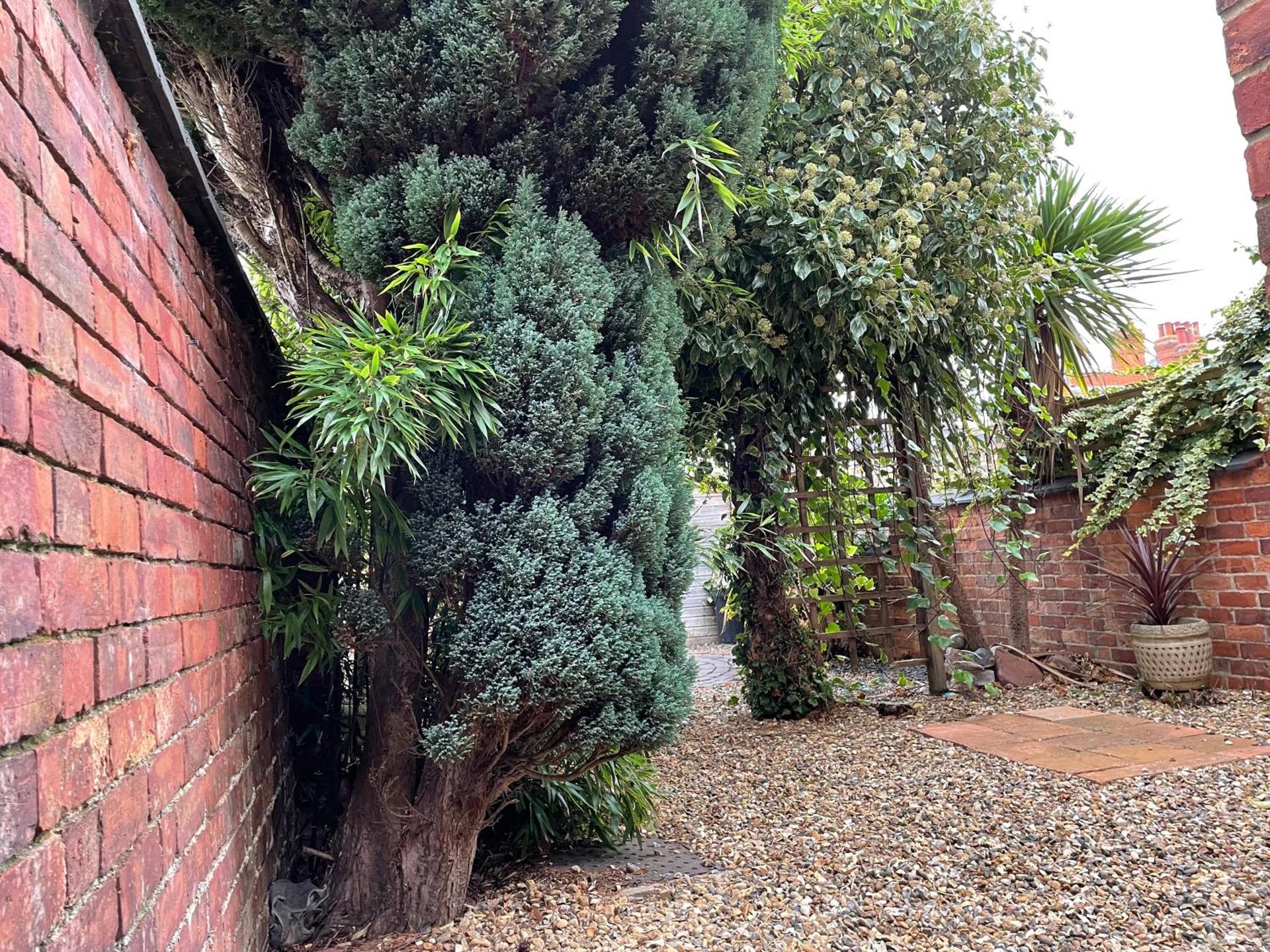 Rooms In A Victorian Comfortable 4-bedroom house in Milton Keynes Rooms Not En-suites