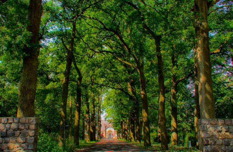 Guesthouse Valkenswaard