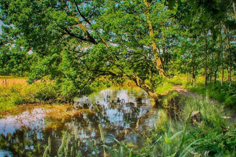 Guesthouse Valkenswaard