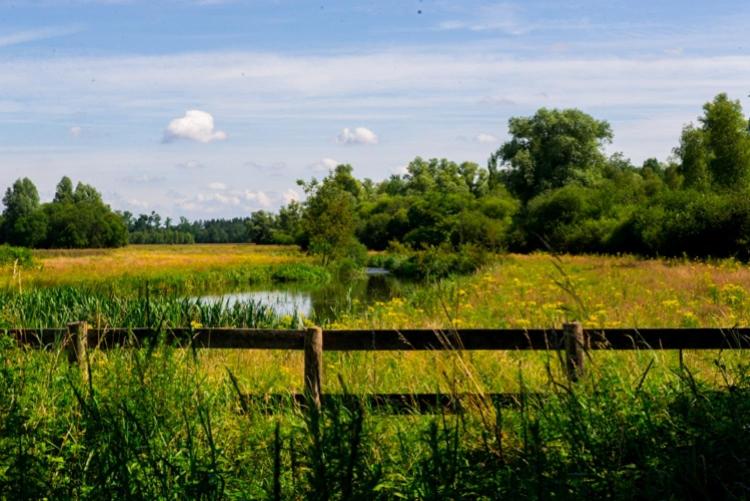 Guesthouse Valkenswaard