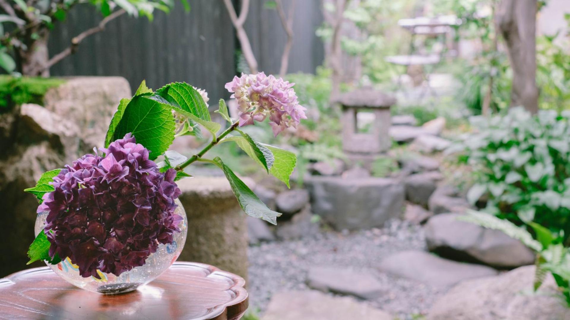 お宿梅夜Guesthouse Umeya