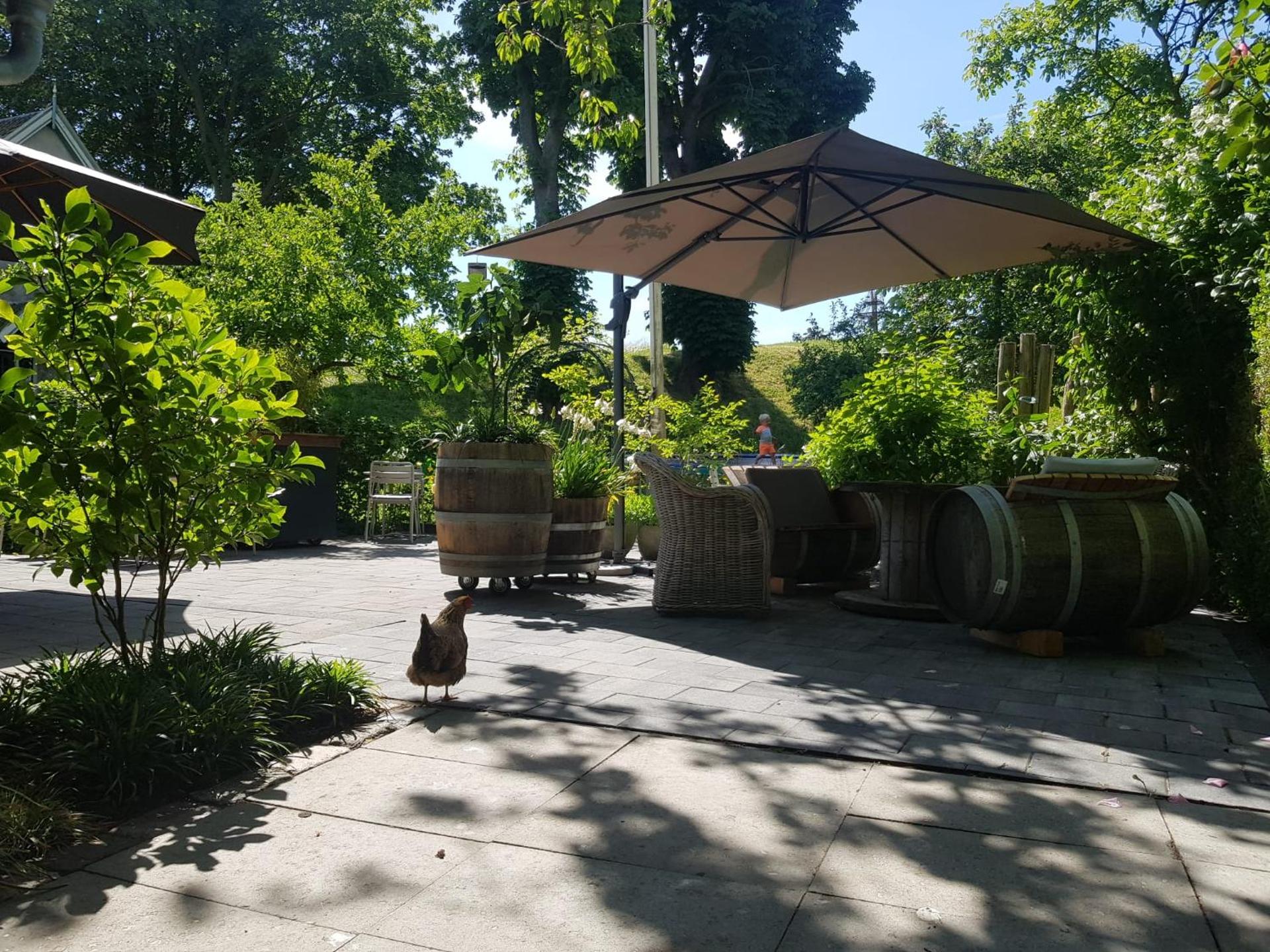 Theetuin Onder de Pannen