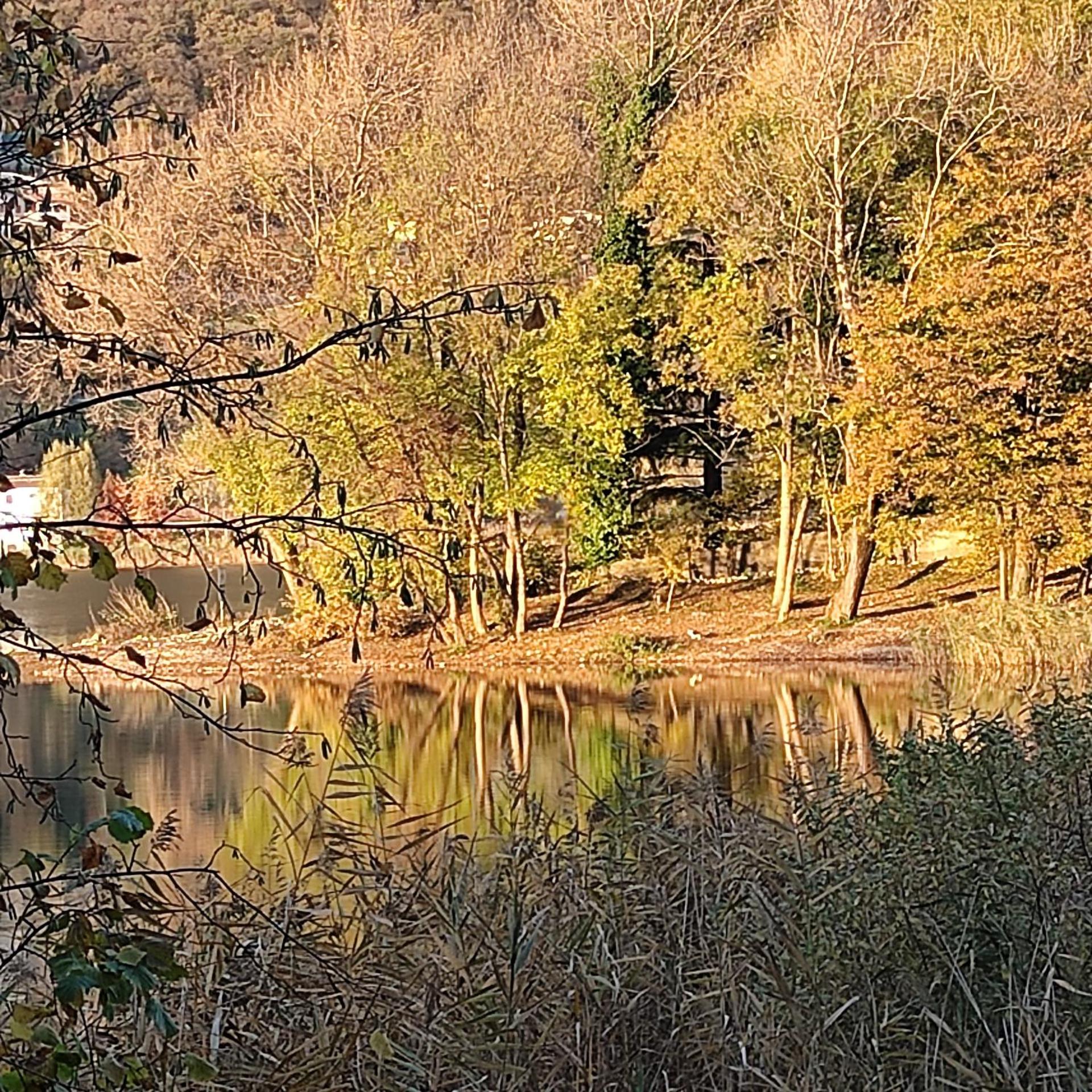 La corte dell'orologio