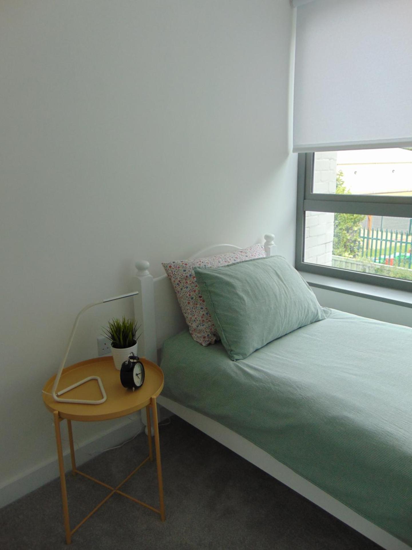 Driftwood, Donaghadee