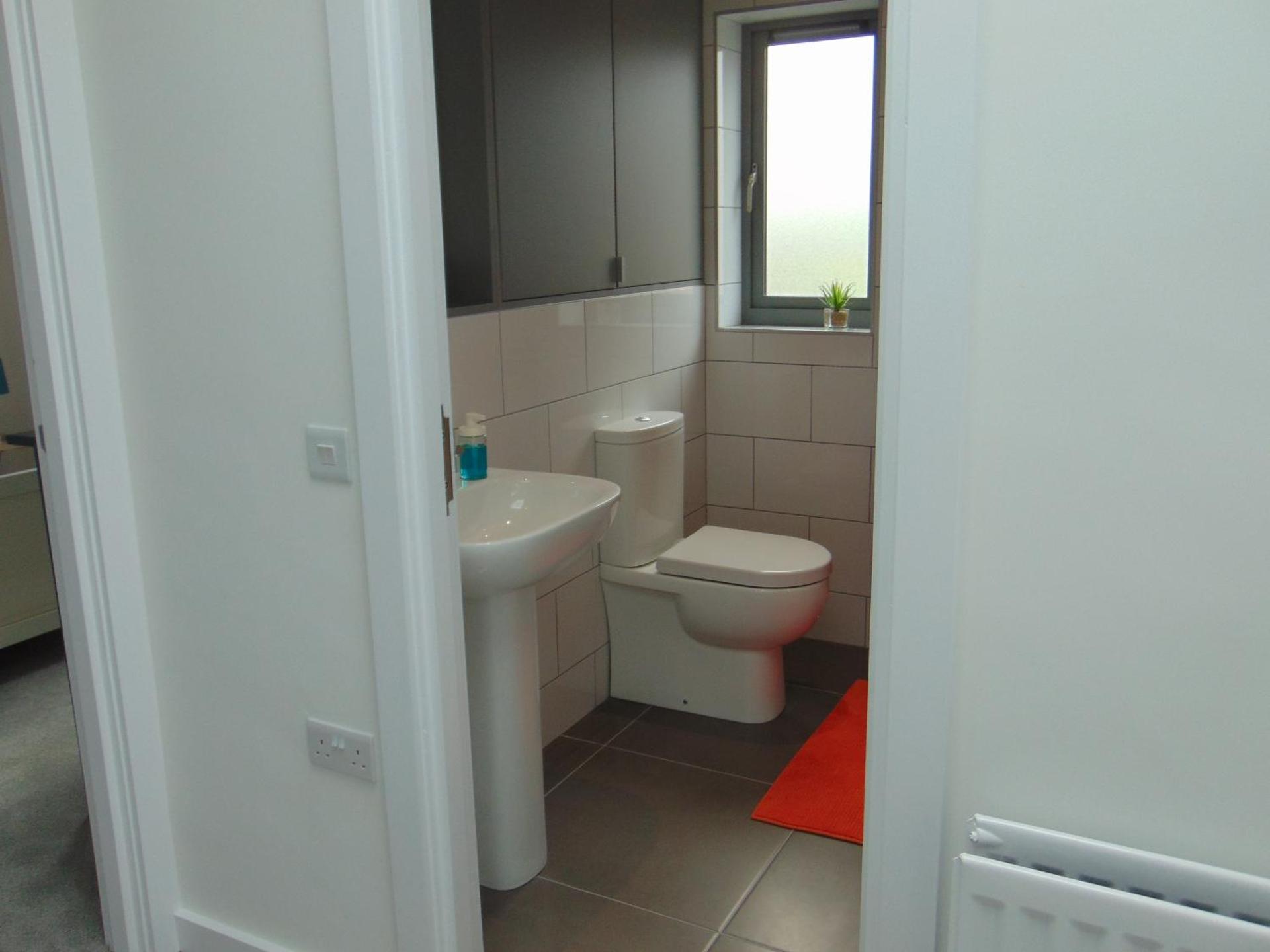 Driftwood, Donaghadee