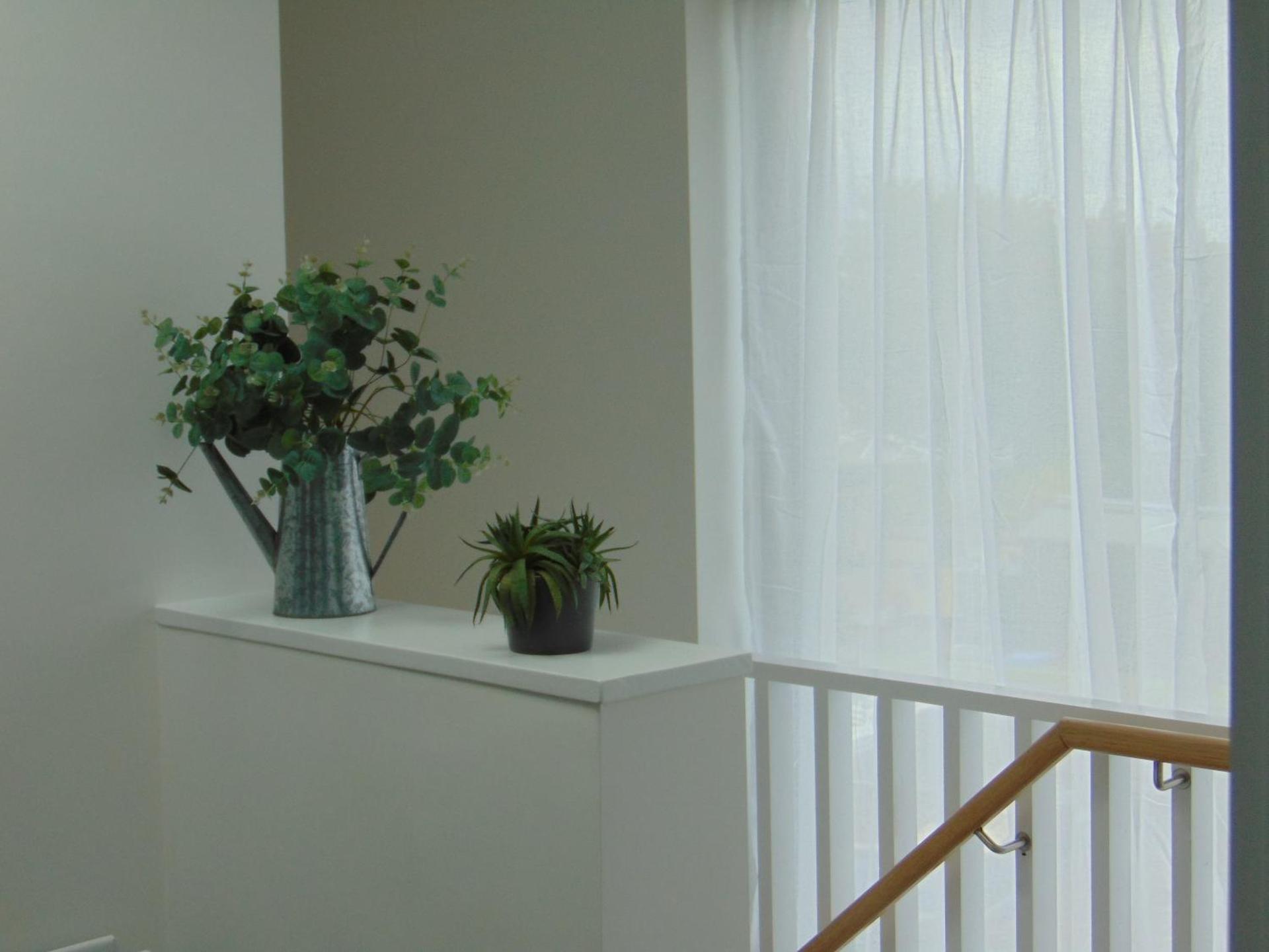 Driftwood, Donaghadee