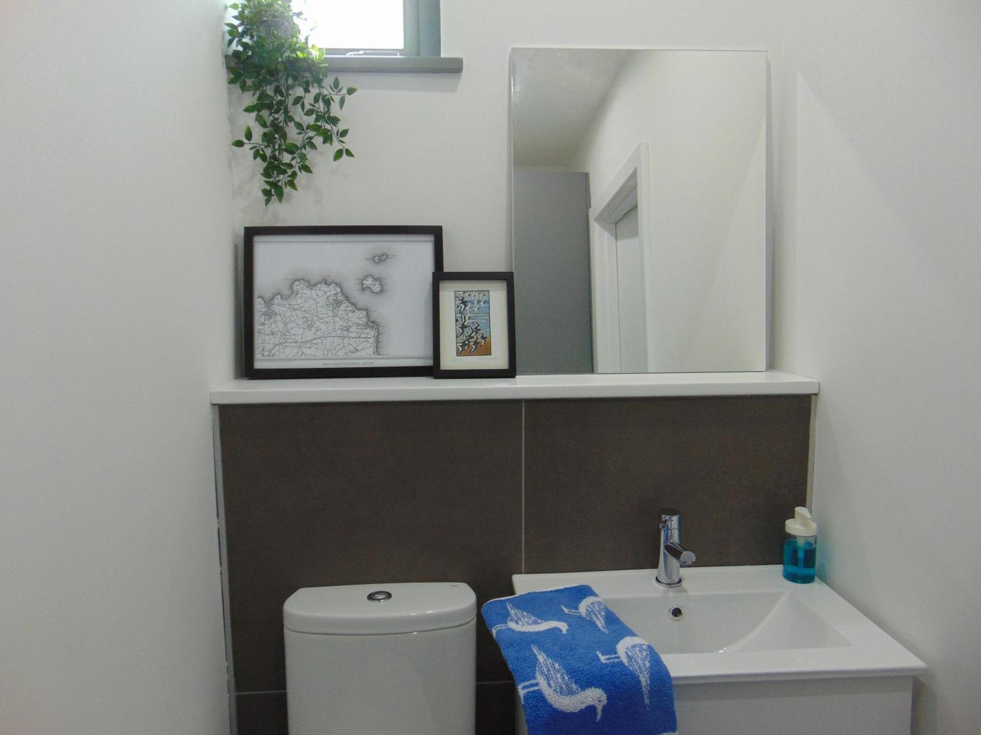 Driftwood, Donaghadee