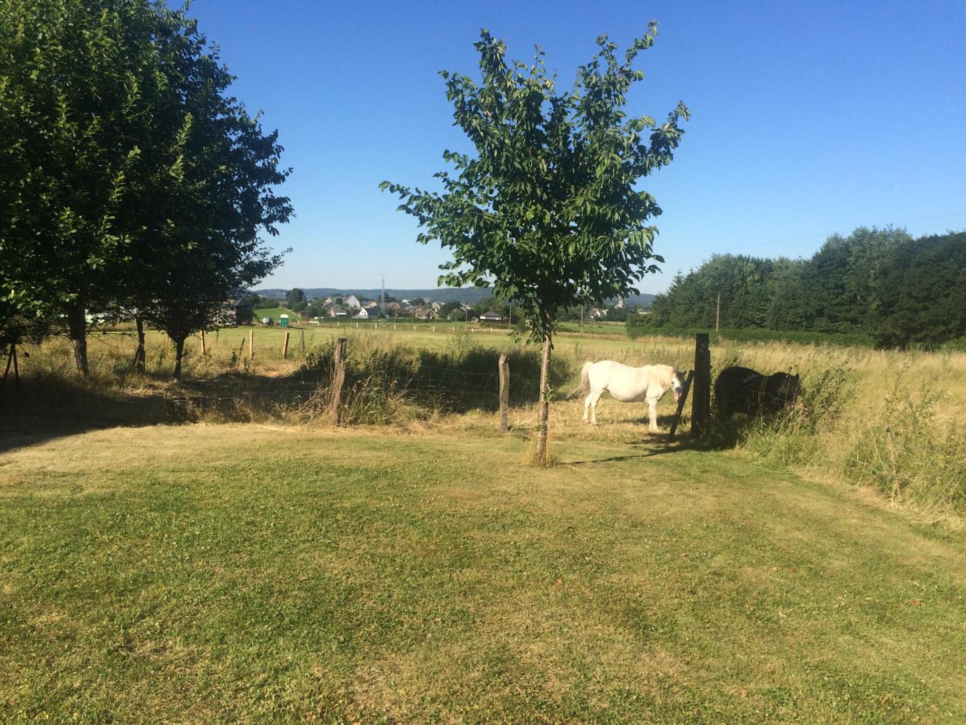 Gite des étangs à Montzen
