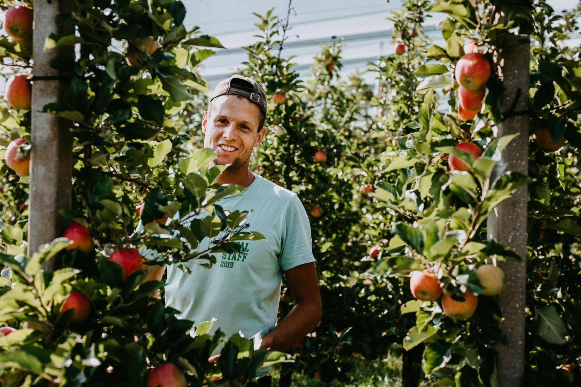 Peintnerhof Appartments & Zimmer