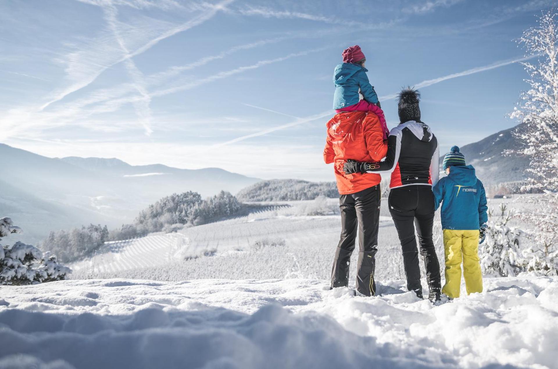 Peintnerhof Appartments & Zimmer