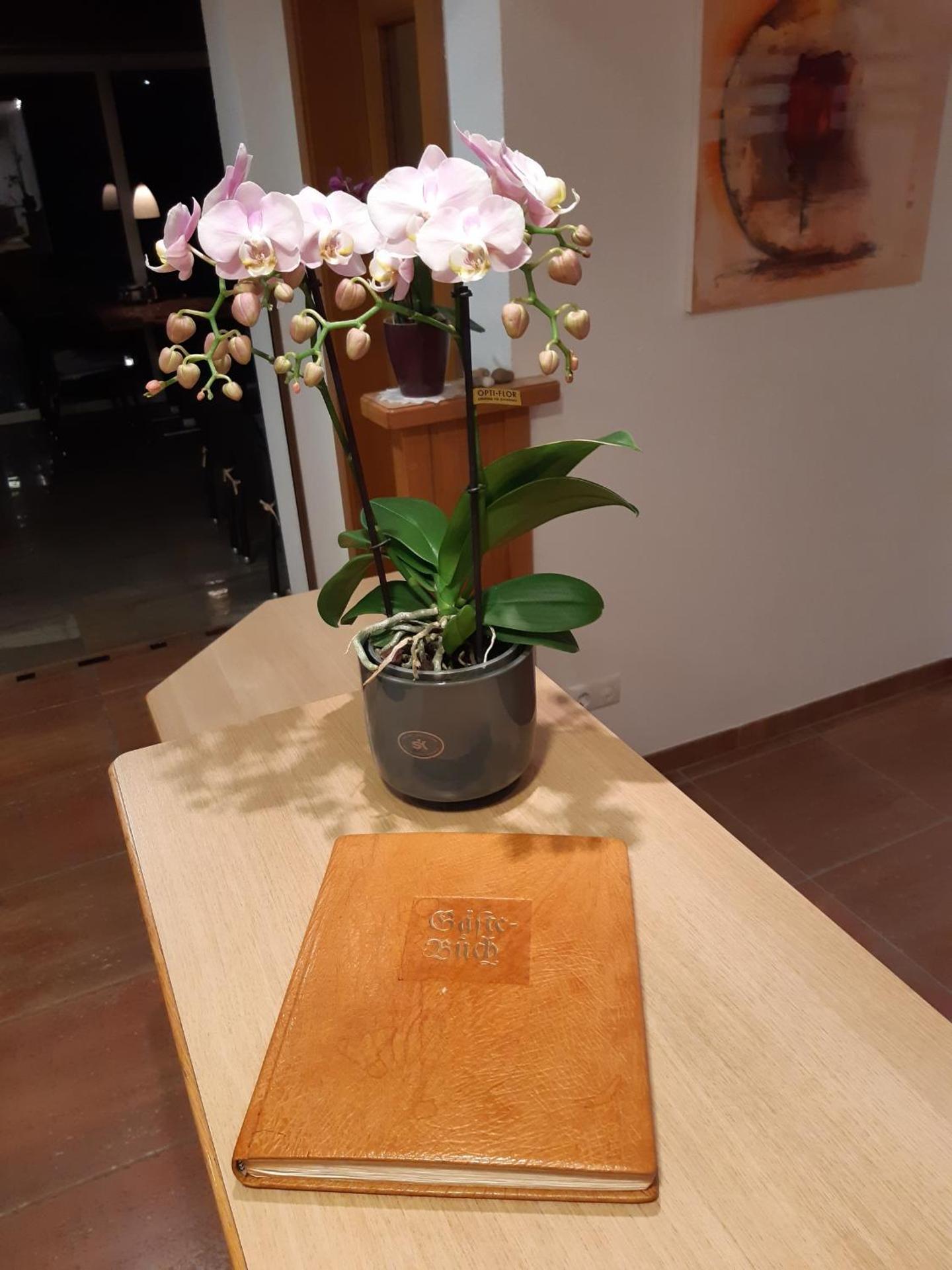 Hotel Bruno - Ski in - Ski out