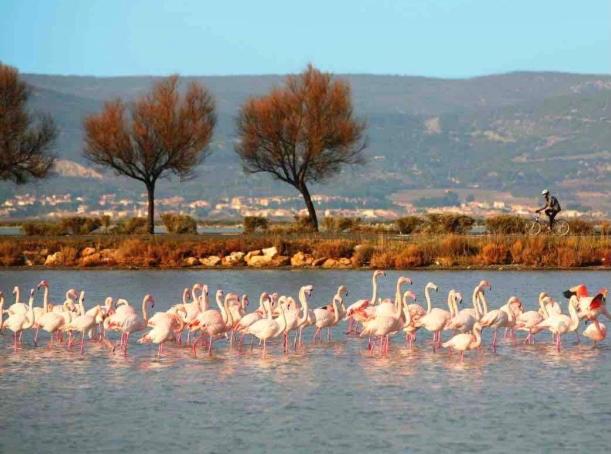 Le Nautica Plage T2 climatisé en bord de mer