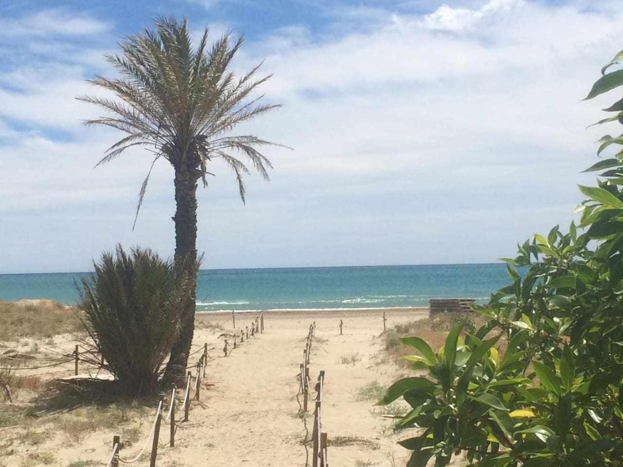 Minva apartamento junto al mar