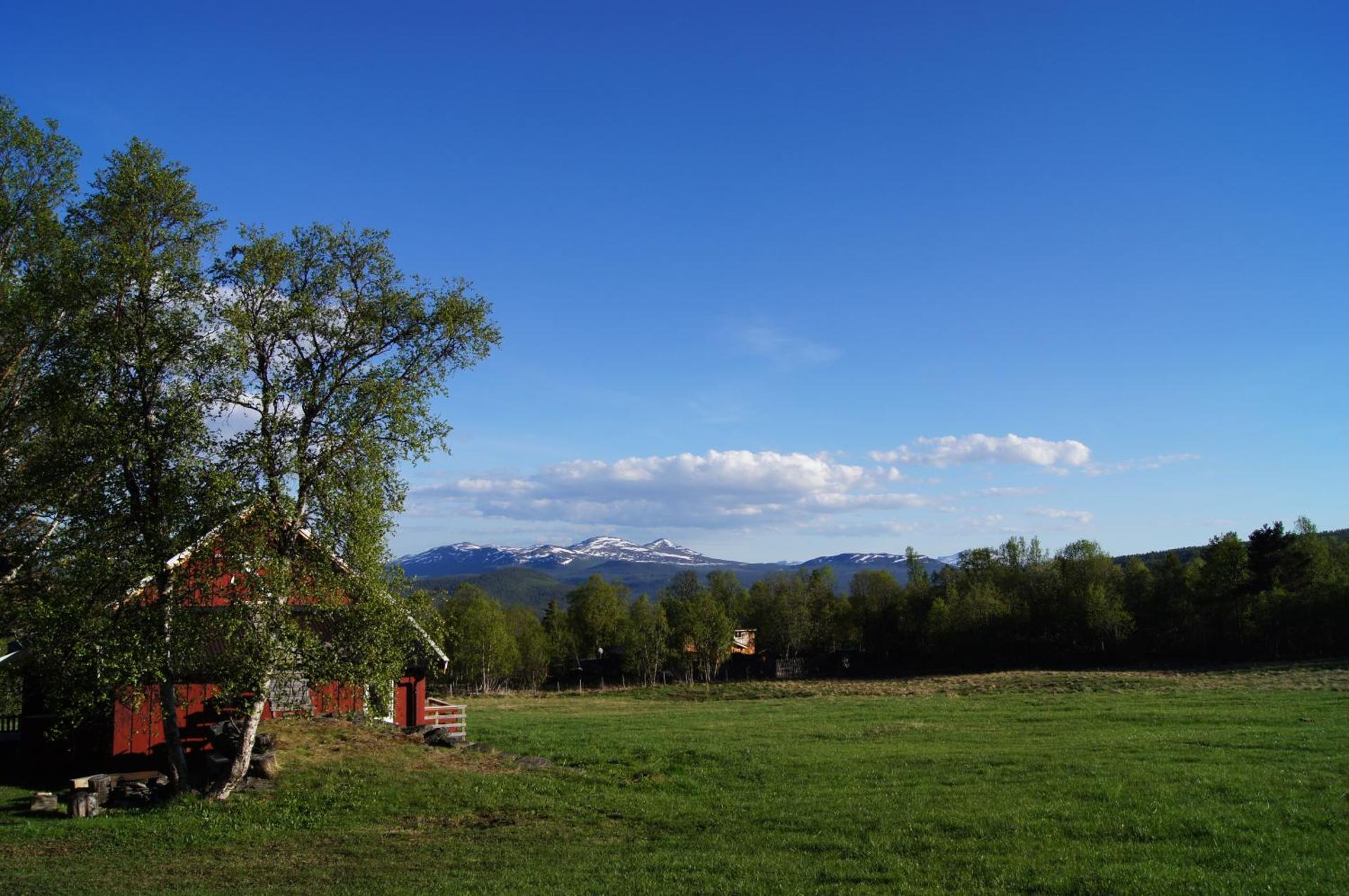 View (from property/room)