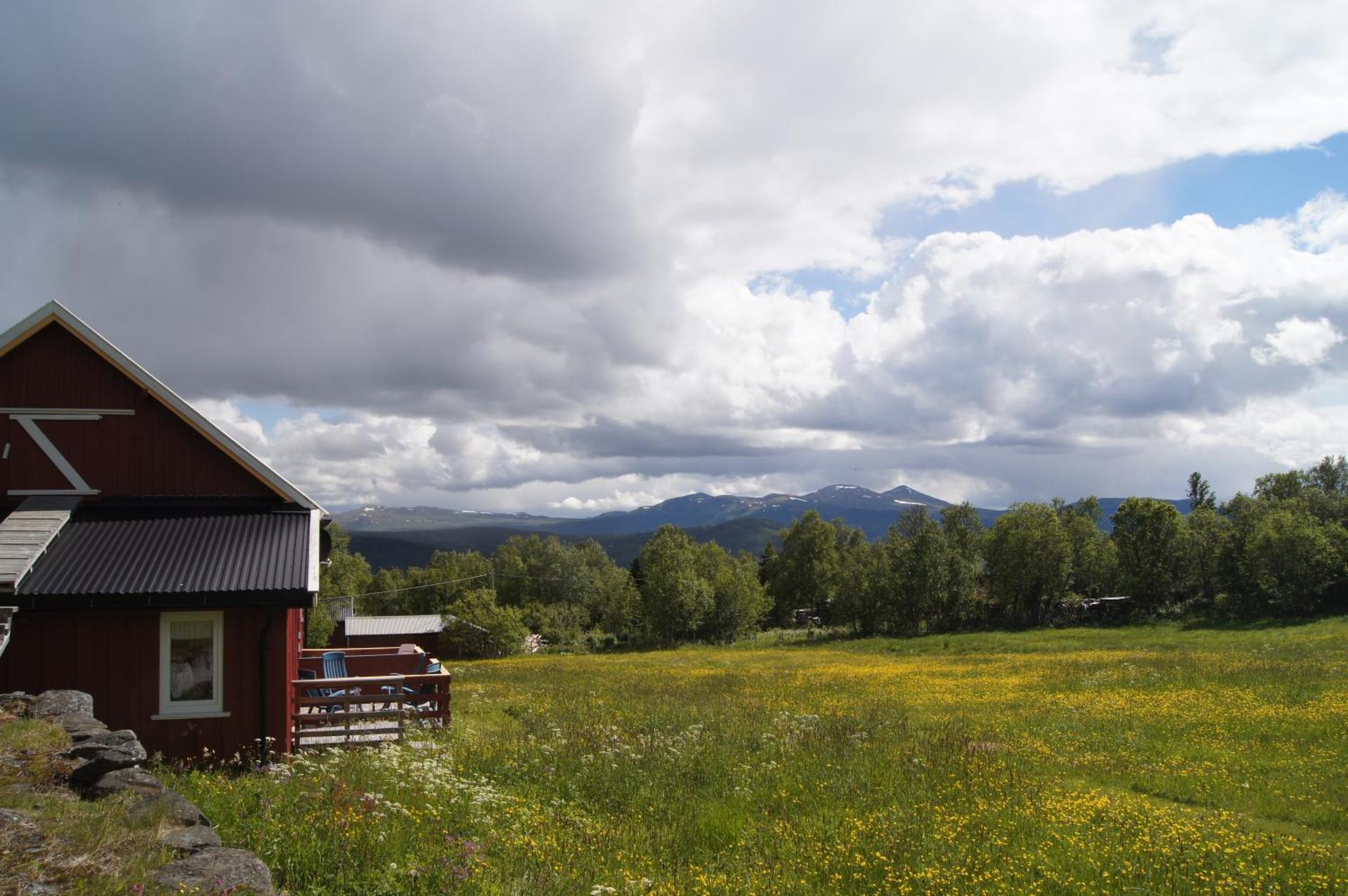 View (from property/room)