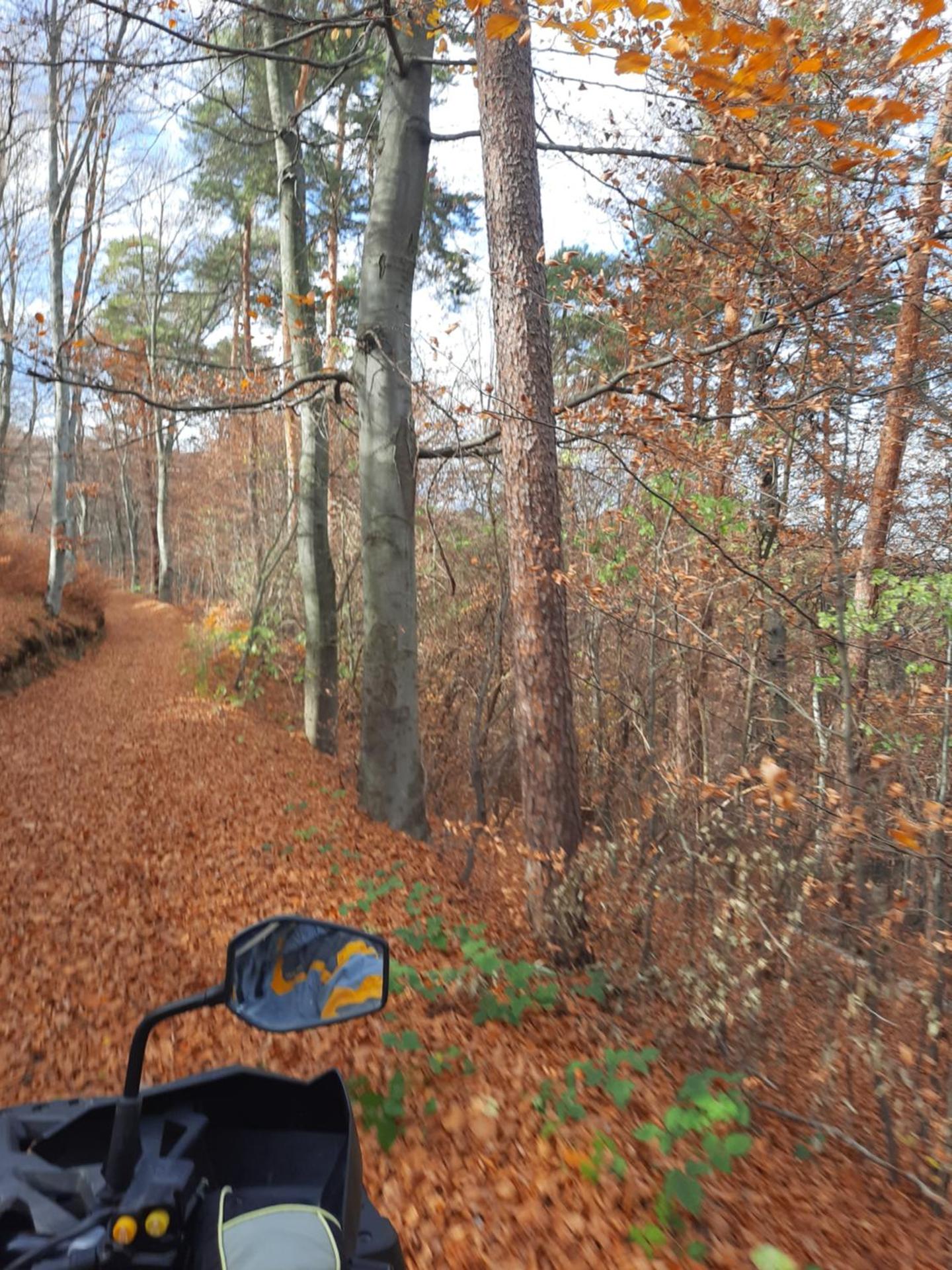 Pensiune Marginimea Sibiului