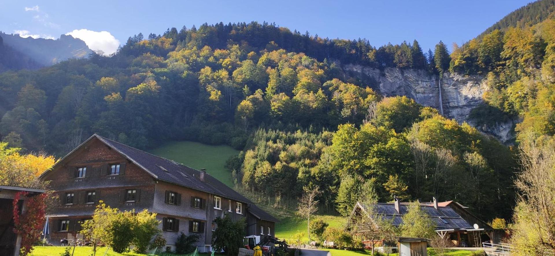 Neues Wood Design Apartment im Herzen des Bregenzerwalds