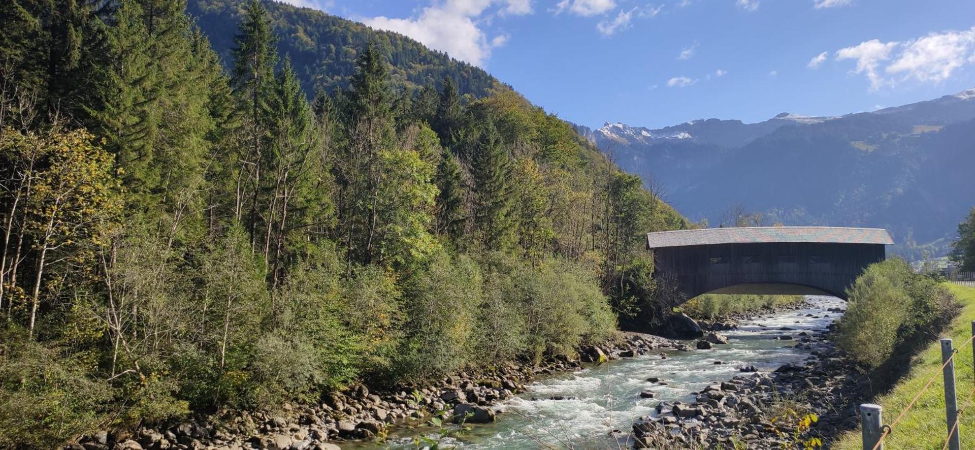 Neues Wood Design Apartment im Herzen des Bregenzerwalds