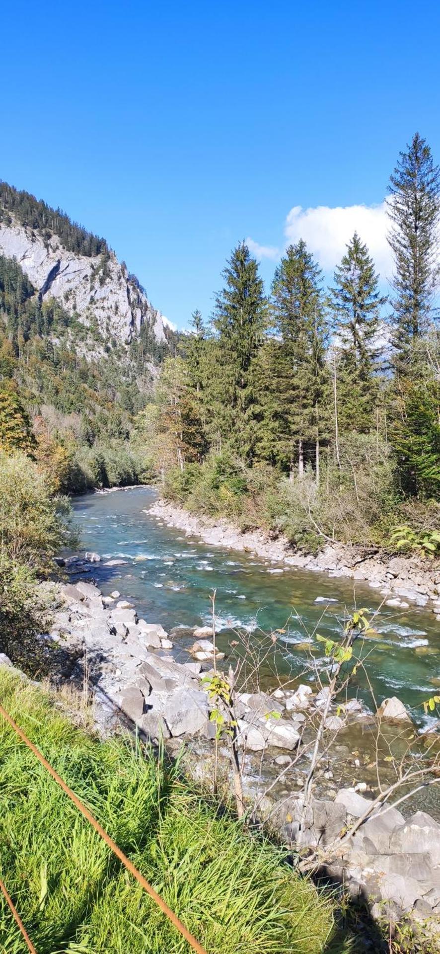 Neues Wood Design Apartment im Herzen des Bregenzerwalds