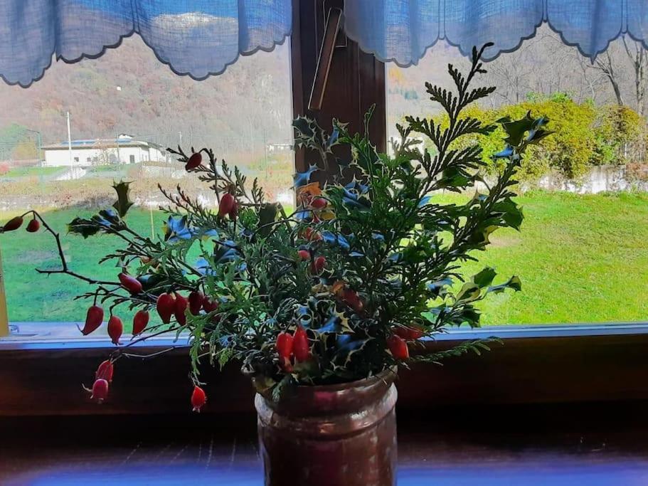 Cascina Ca' Scarlatta - Your Mountain Holiday