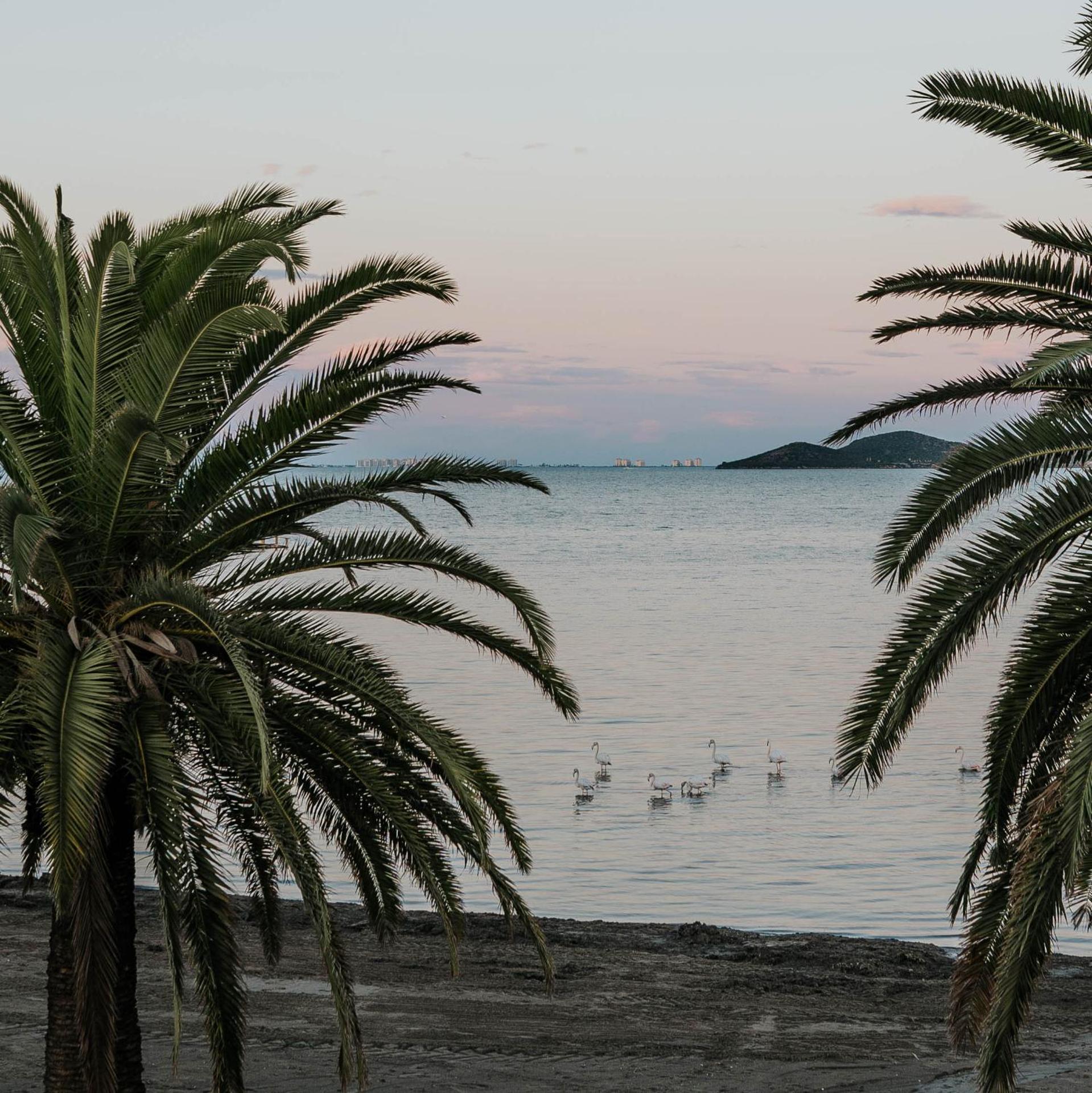 Fantastic, Front line, Penthouse Apartment with amazing views