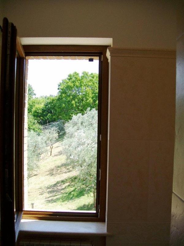 La Collina Del Sagrantino