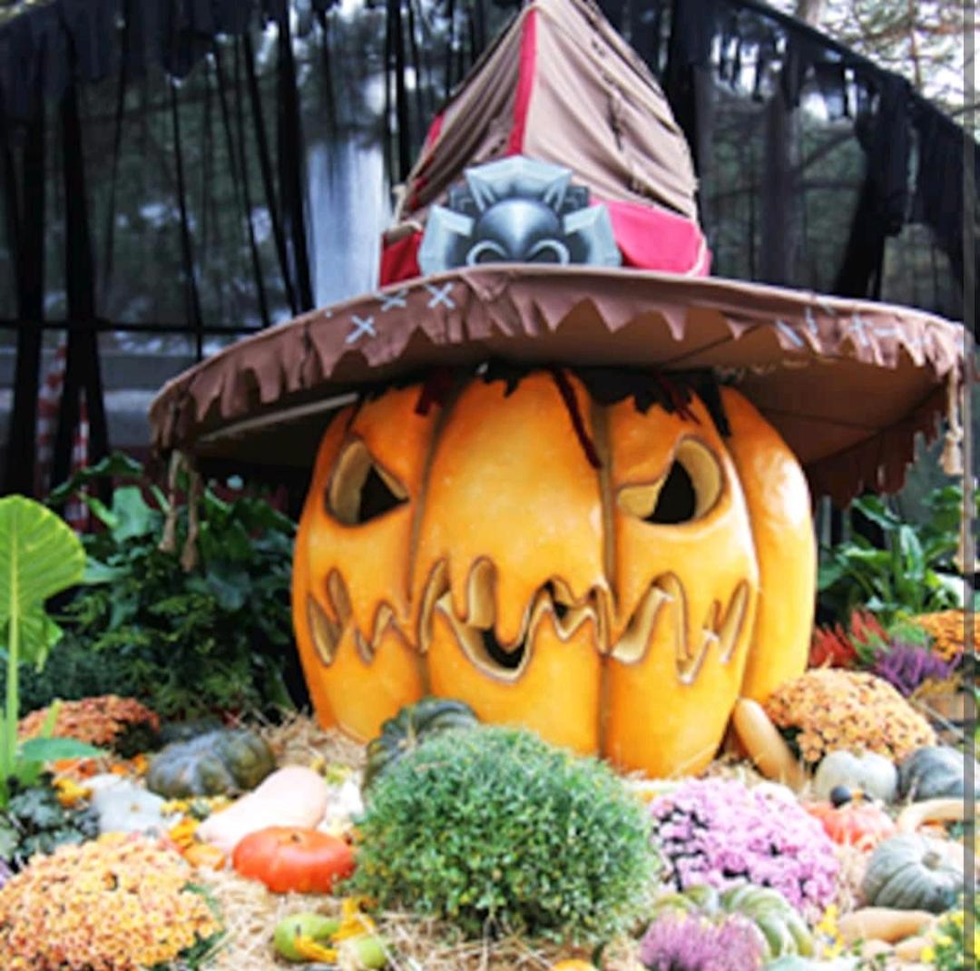 Les chambres touristique Juléa