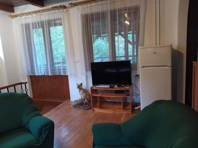 Hamvaskői Vadászház