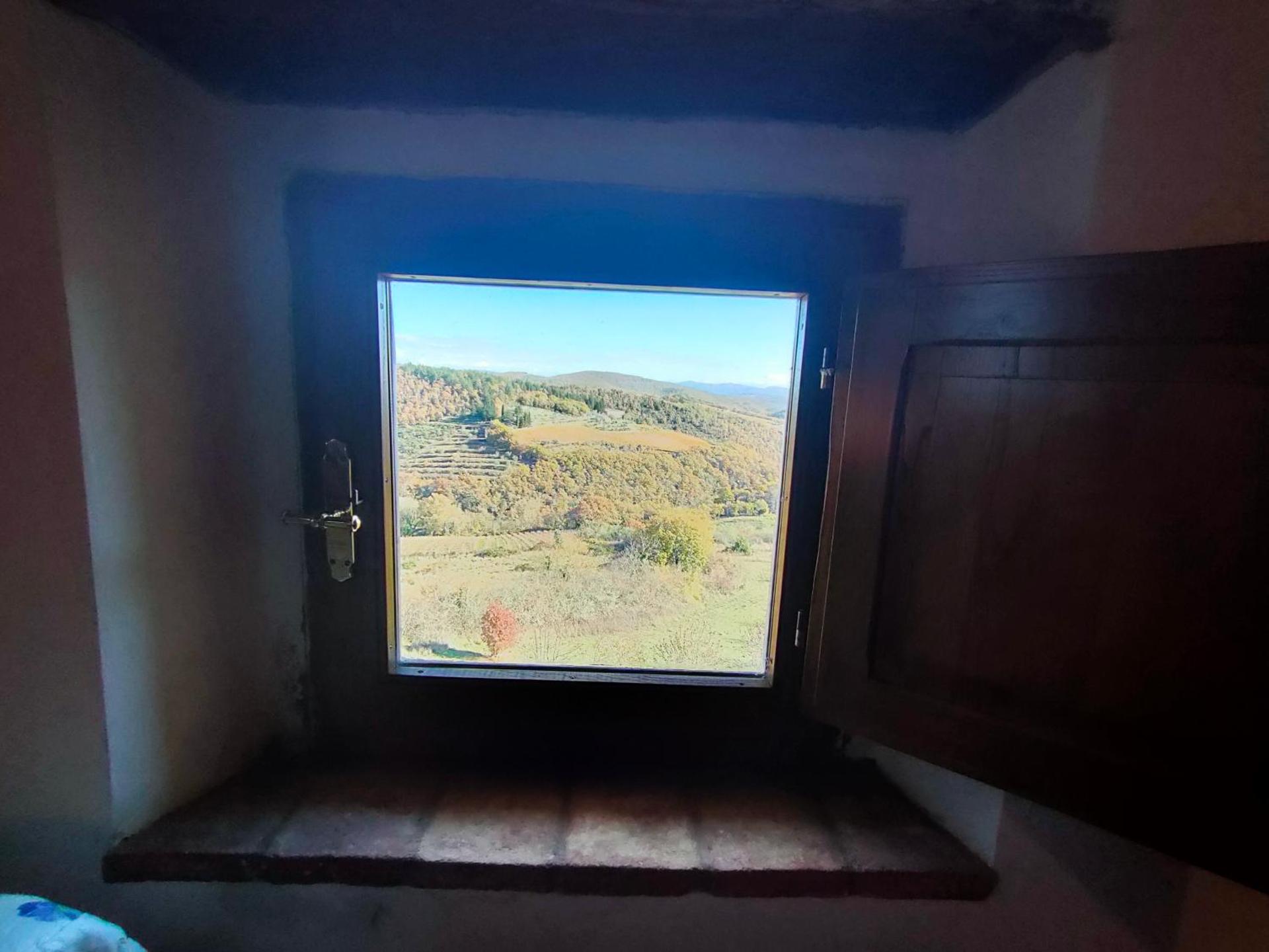 View (from property/room)