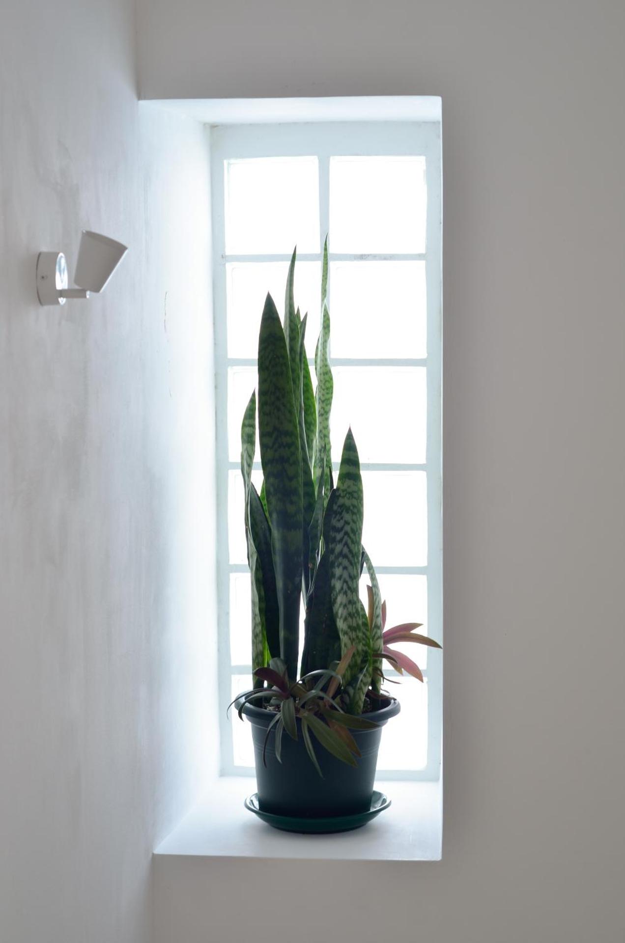 Sunrise House- 4 bedroom house with amazing sunrise over the sea 8 guests