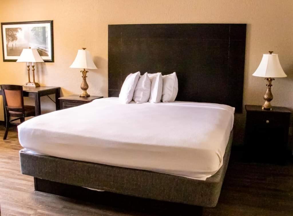 Standardværelse med kingsize-seng - ikkeryger