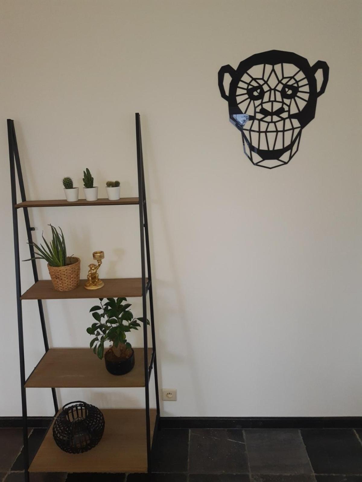 Vakantiewoning 'De Vlaamse Aap'