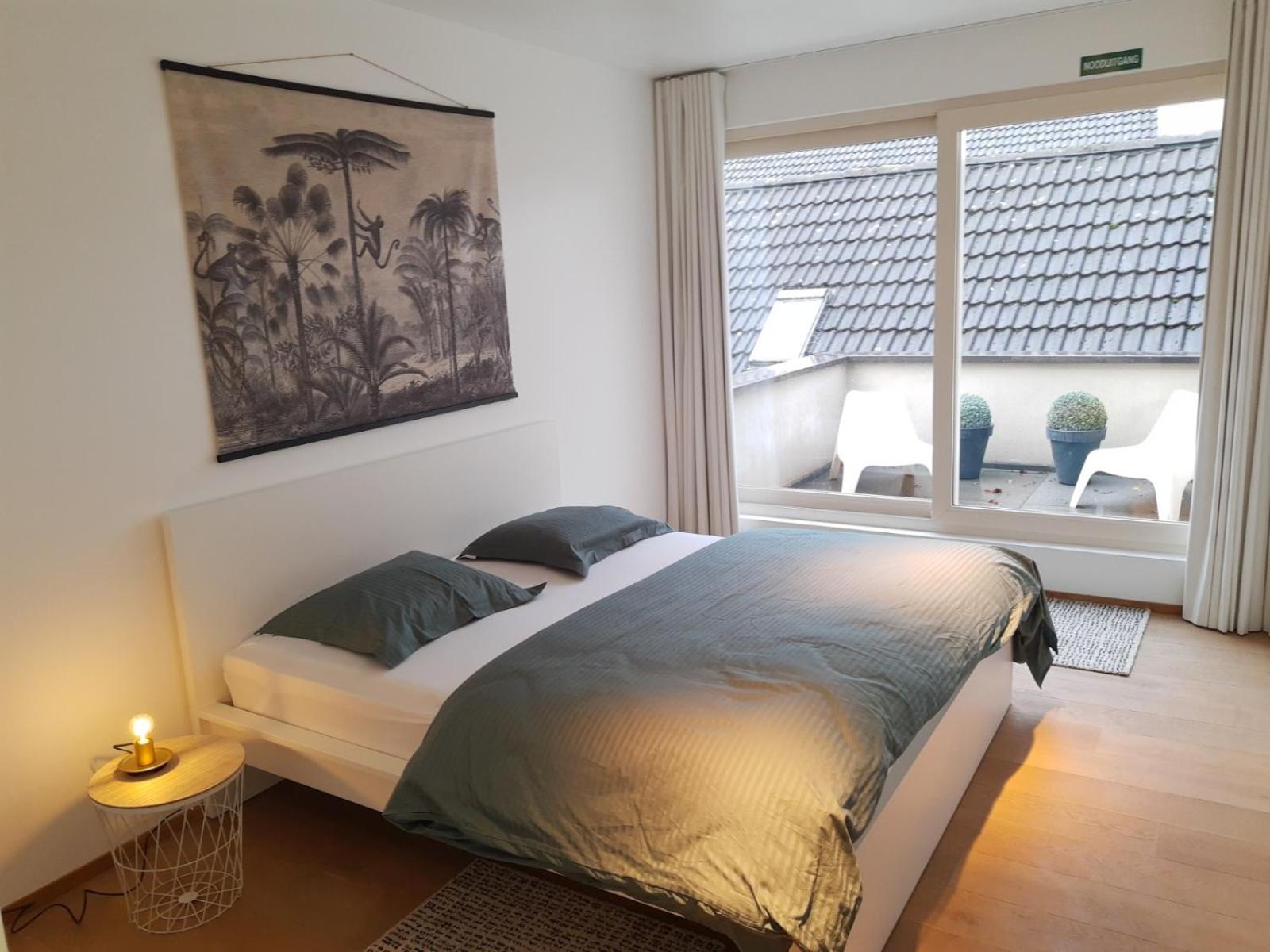 Vakantiewoning 'De Vlaamse Aap'