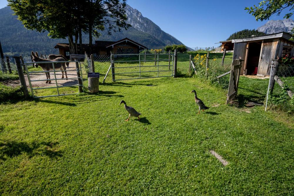 Gästehaus Hinterponholz