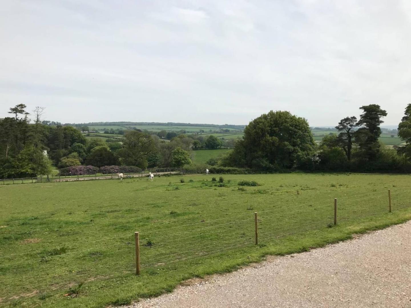 Stunning Shepherds Hut with Superb Views & Fire Pit near a Superb Gastro Pub
