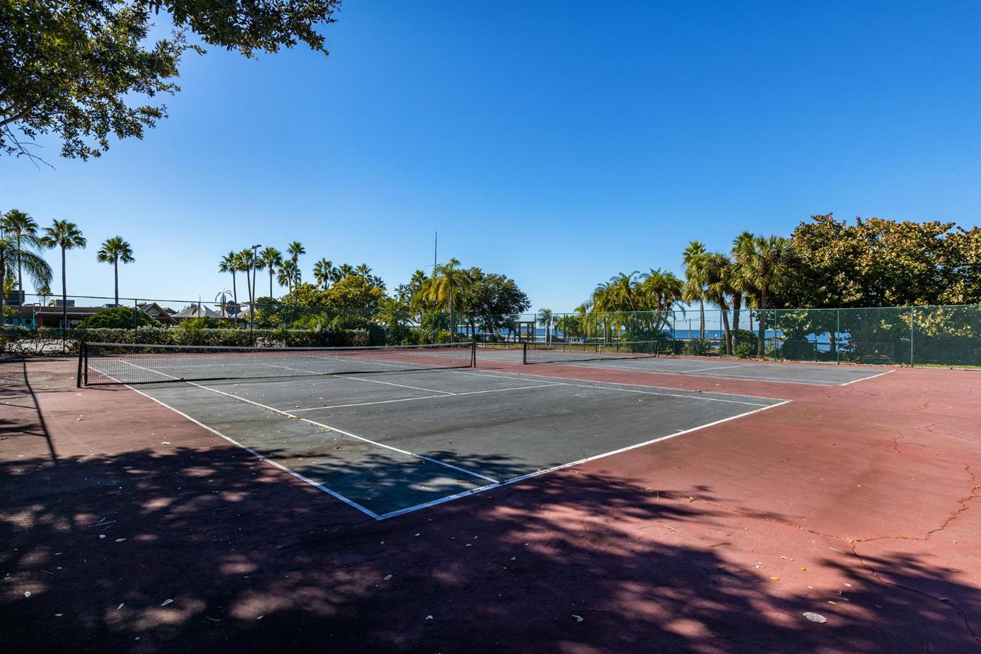 Come Stay Where the Dolphins Play!