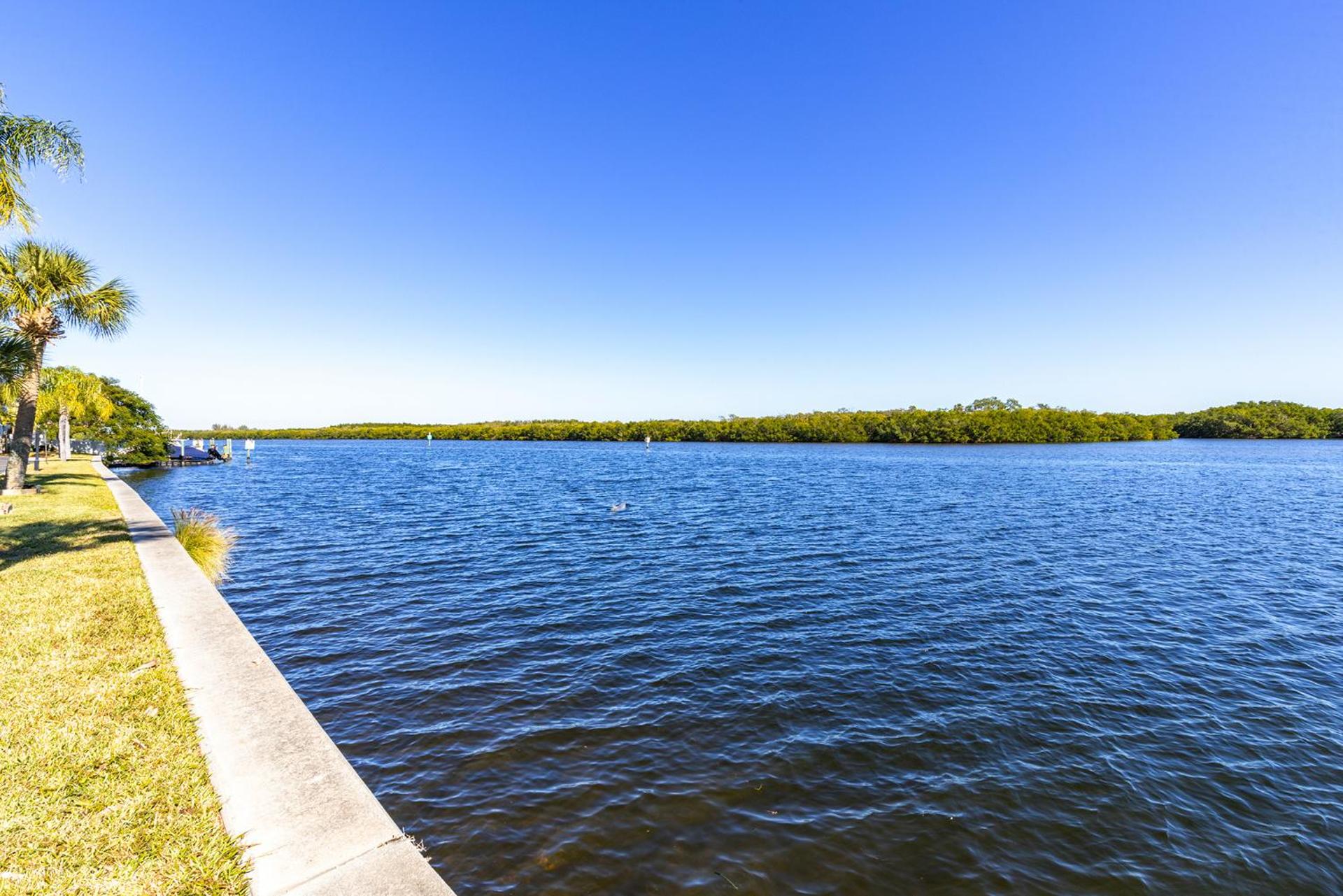 Come Stay Where the Dolphins Play!