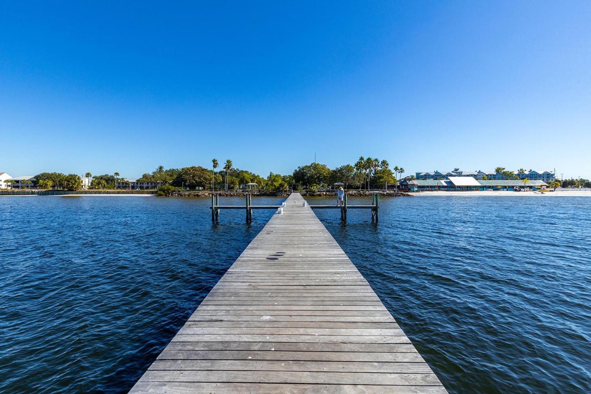 Come Stay Where the Dolphins Play!