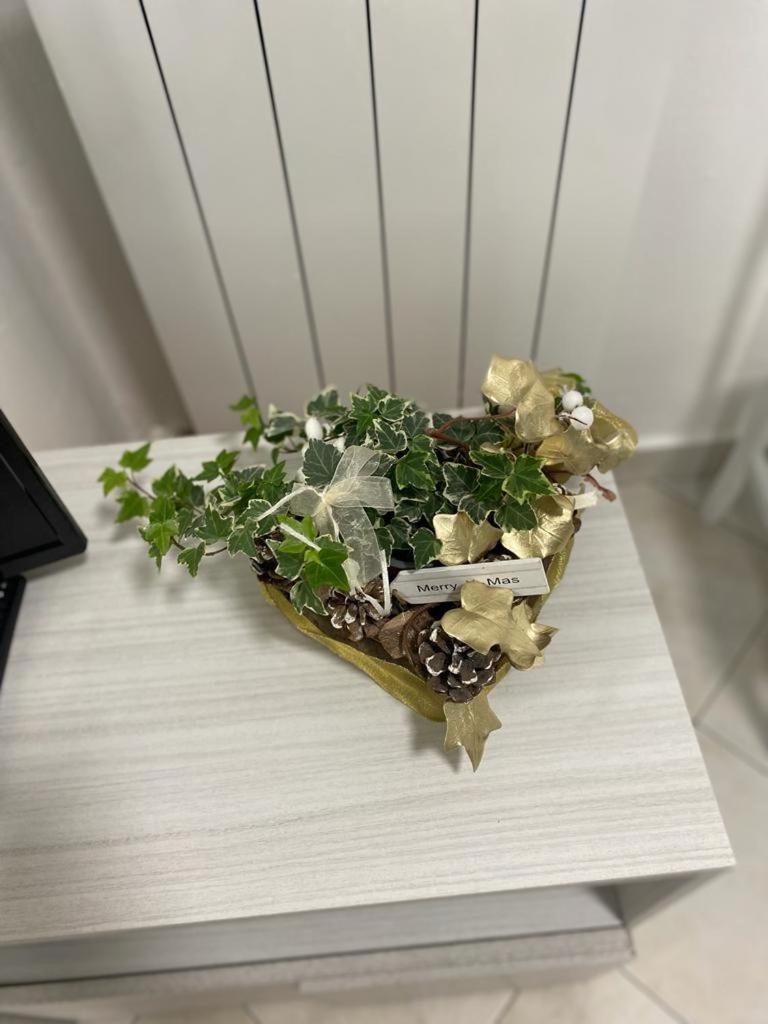 senza pensieri al fiume