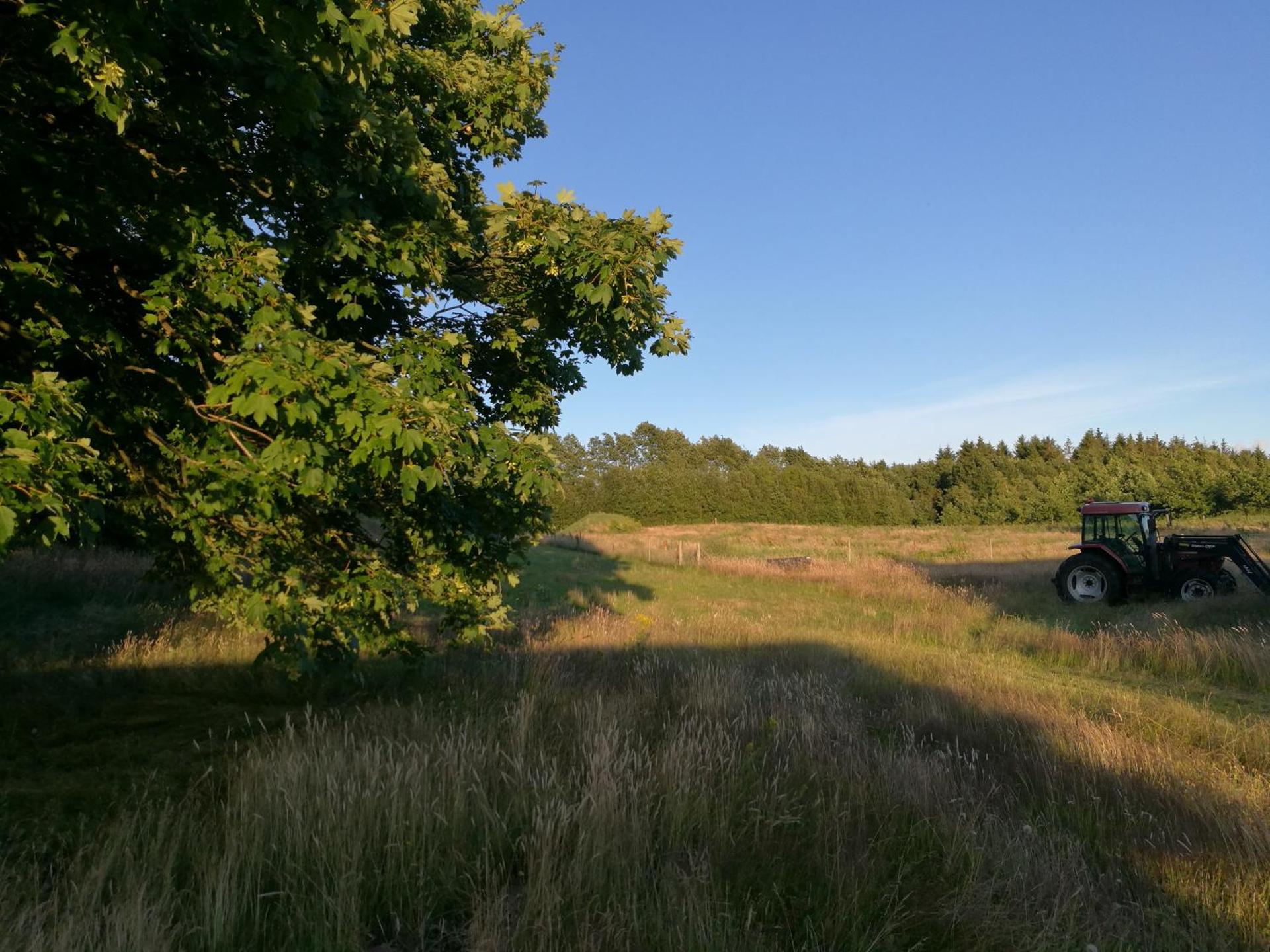 Hærvejsly - Perfekt familiebase til oplevelse af Sydjylland
