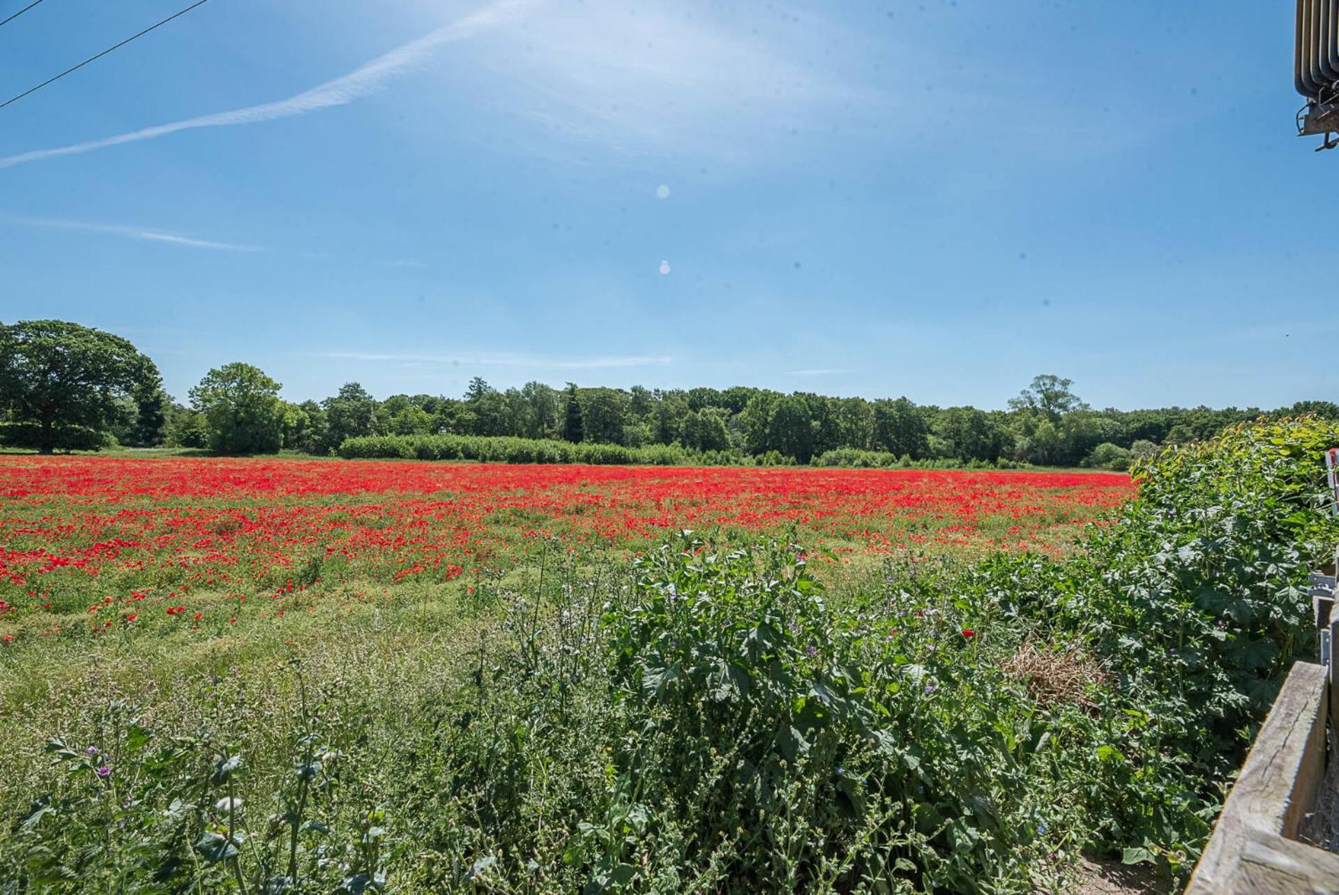 Little House, Aldringham