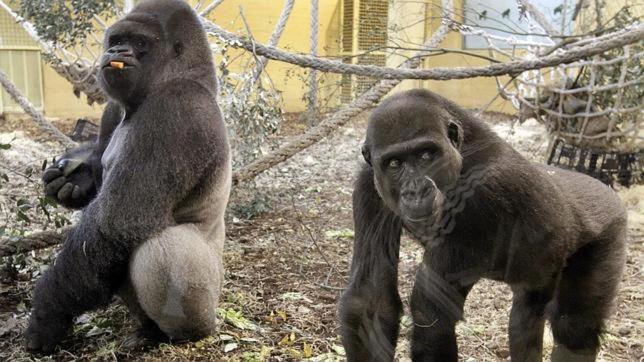 Casa para vacaciones junto al Parque de la Naturaleza de Cabarceno