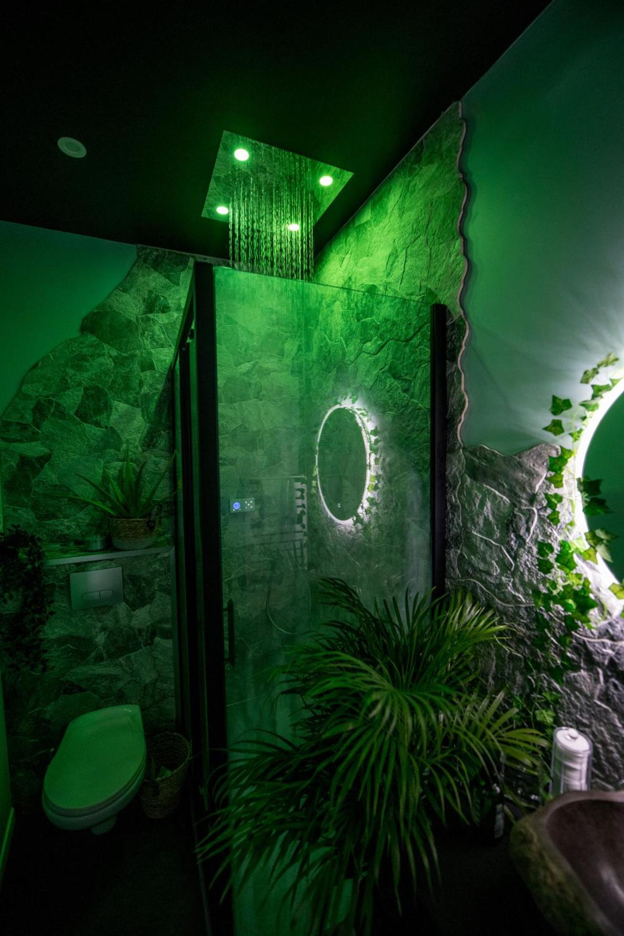 JUNGLE ROOM évadez vous cosy luxe gare autoroute