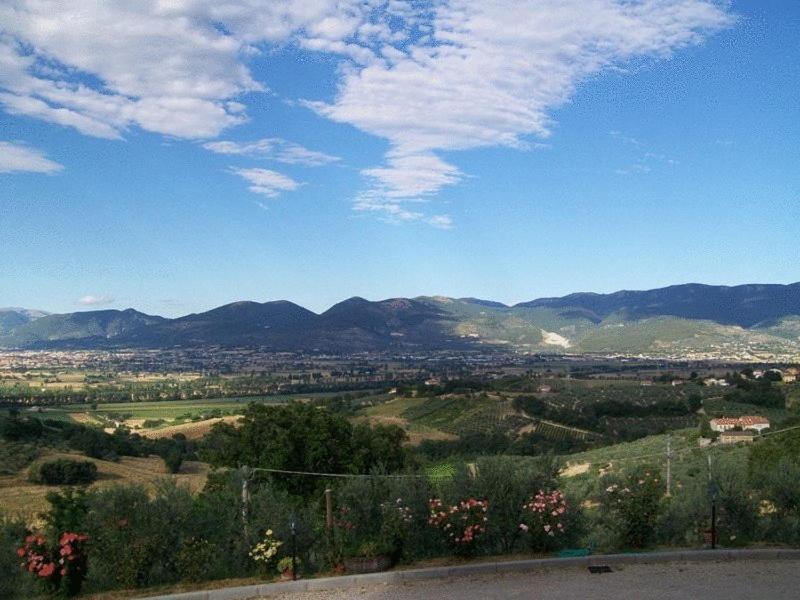 La Collina Del Sagrantino