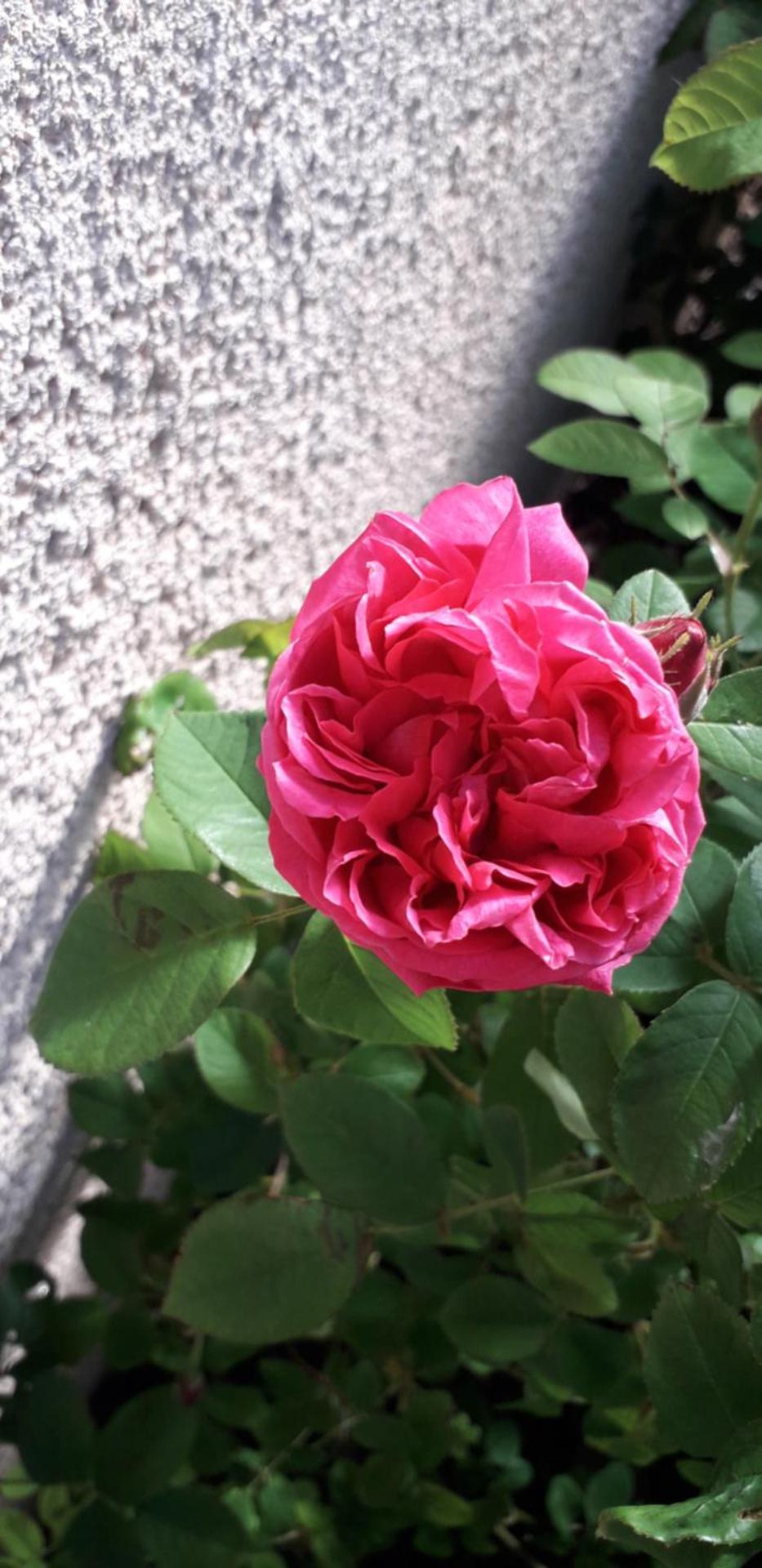 Chambres d'hôtes La Maison d'Après
