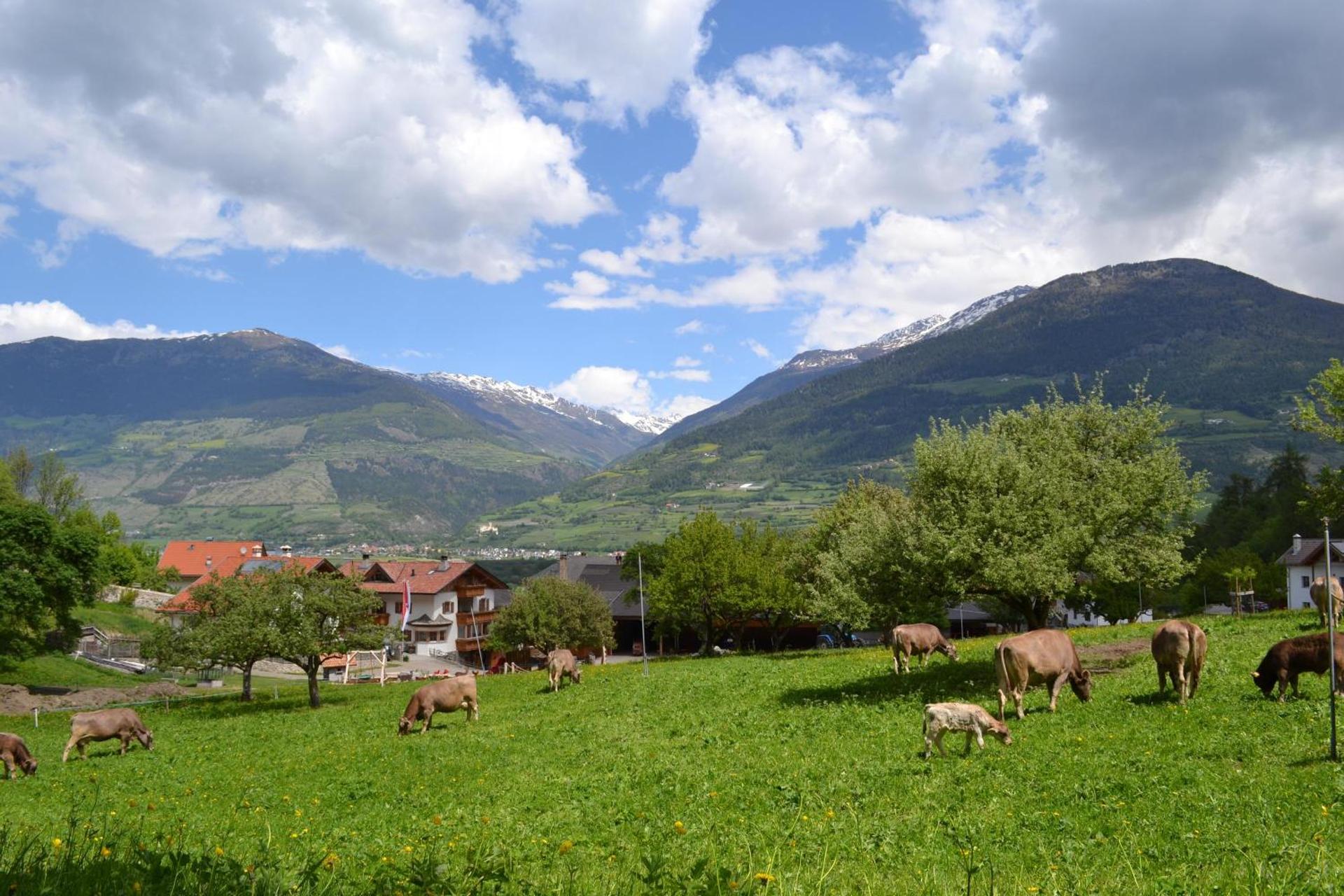 Ferienhaus Hof am Schloss