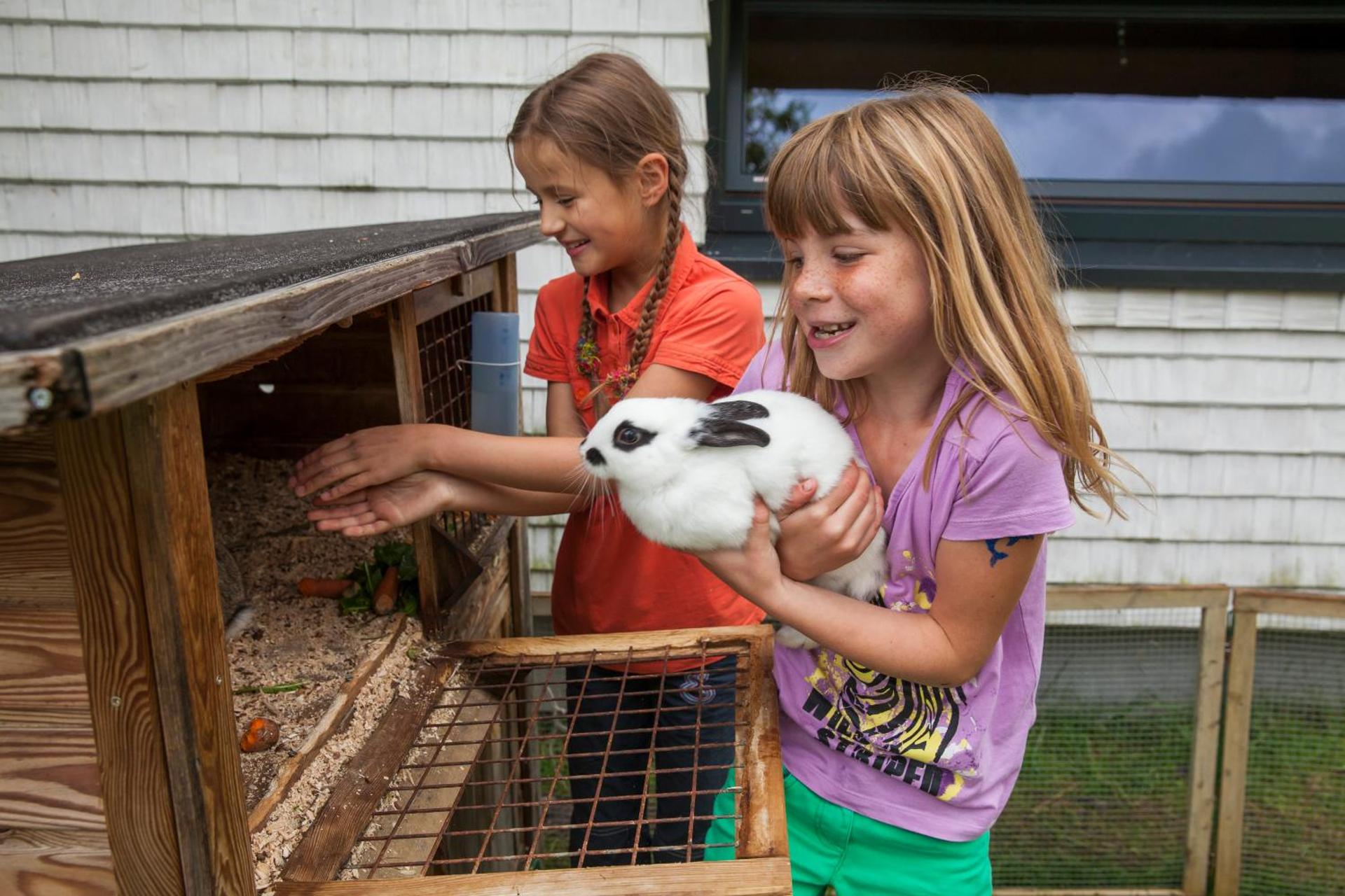 Children play ground