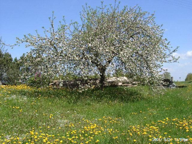Landpension Heidi Machold