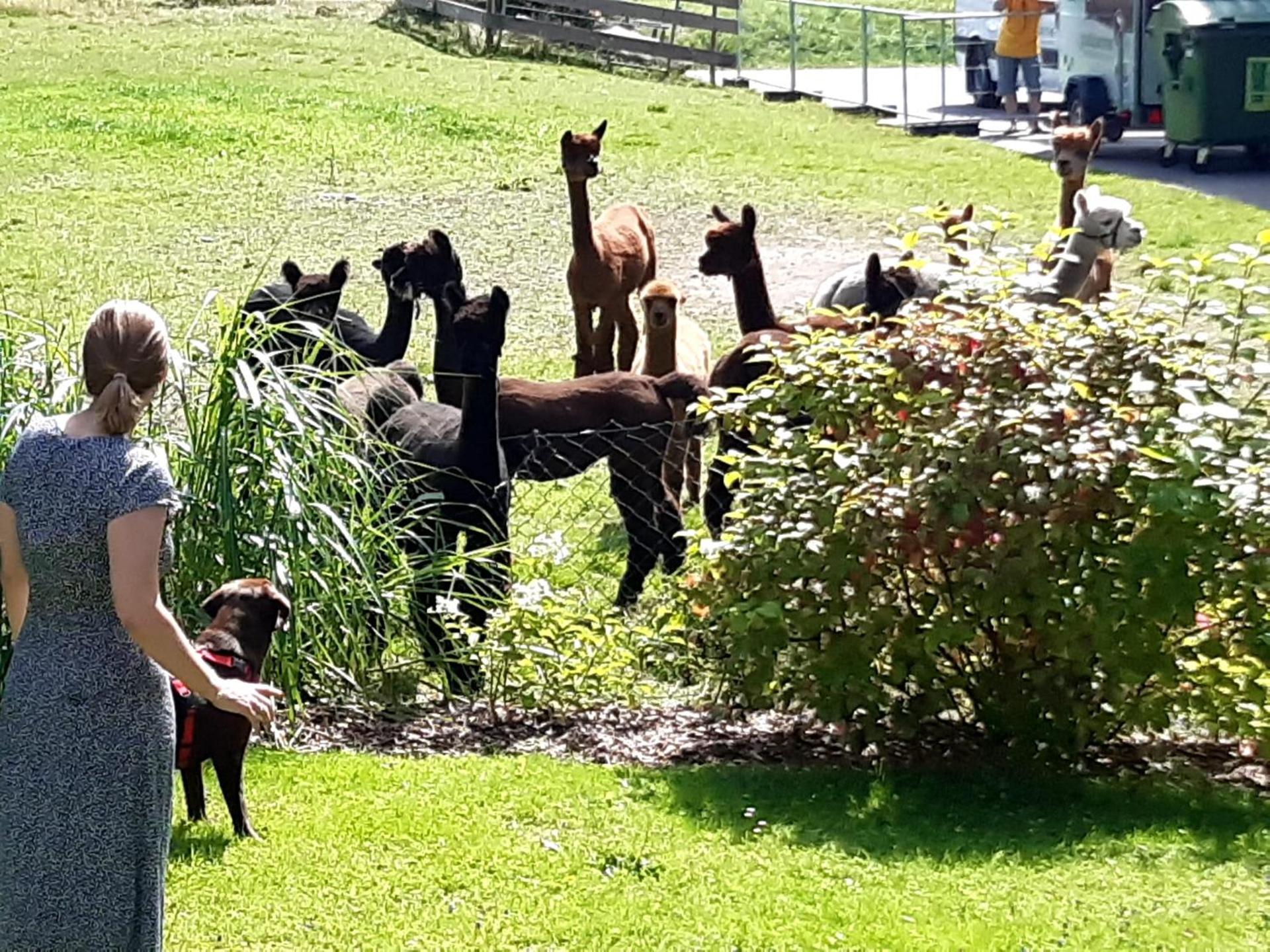 Landpension Heidi Machold